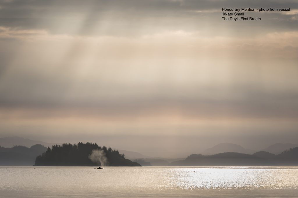 *Honourary Mention Nate Small Photo photo from vessel BC 119